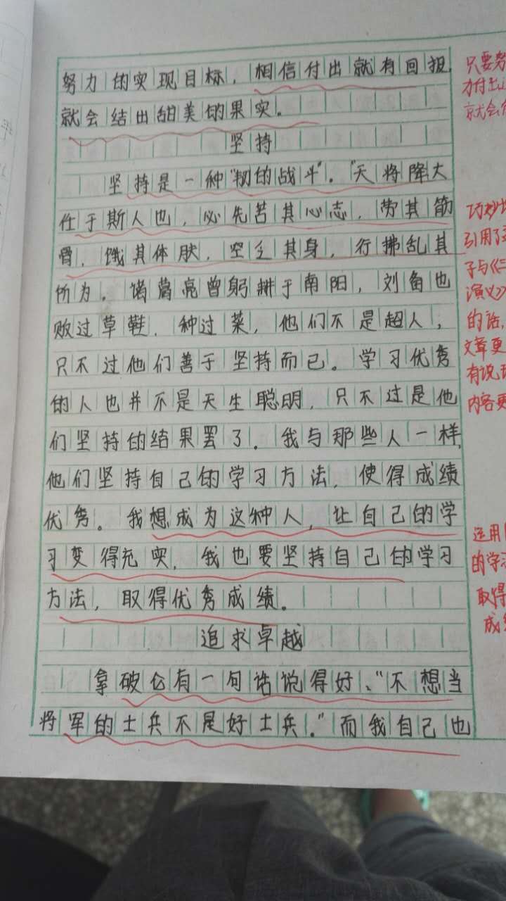 致九年级的自己(学生作文分享)_河南范县思源