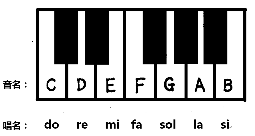 【基础乐理】第2期:基本音级名称与音的分组_懒虫进化社_学习-沪江社团