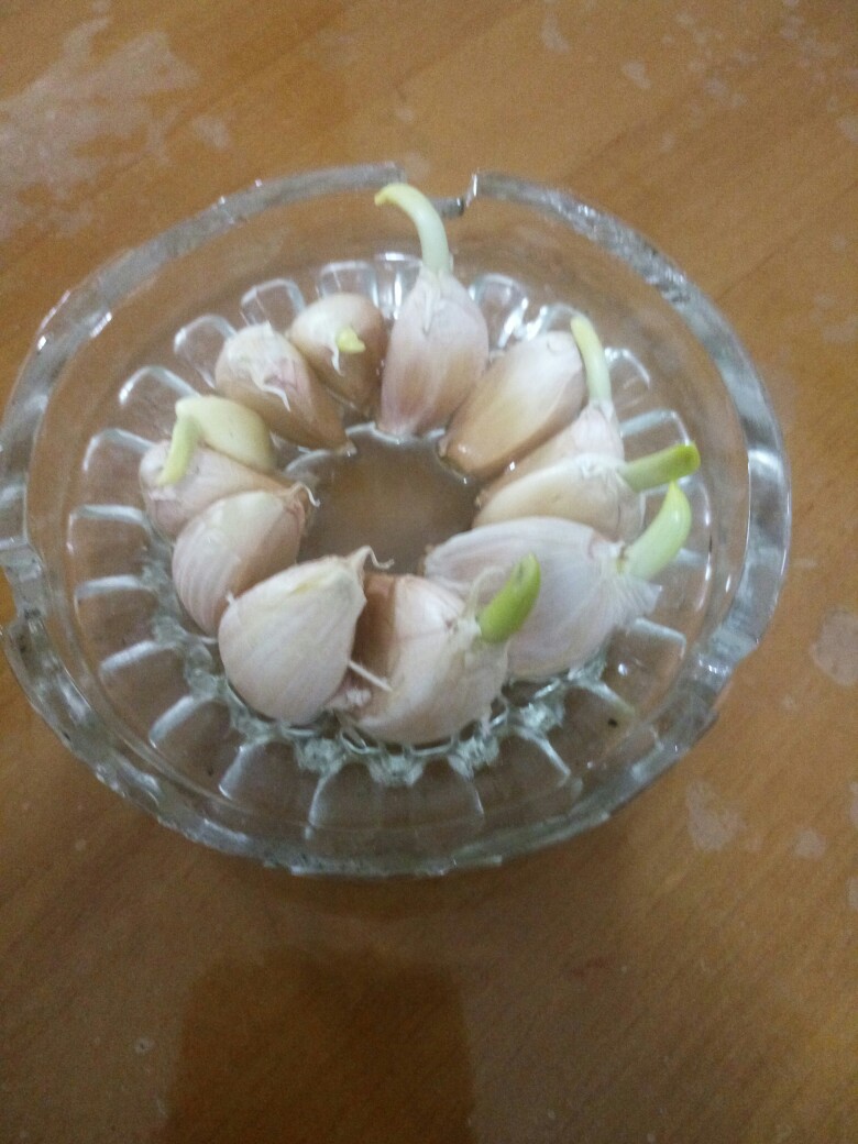 蓓蓓38010 的部落主页