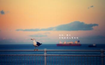 考研阅卷流程不得不说的秘密 -红颜旧笑忘书的