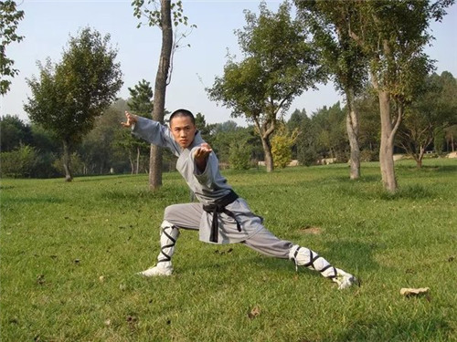 嵩山少林寺武校的少林功夫能自学吗 -slsww04