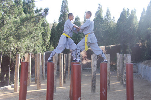 嵩山少林武校教练认为自学武术有何缺点 -feiy