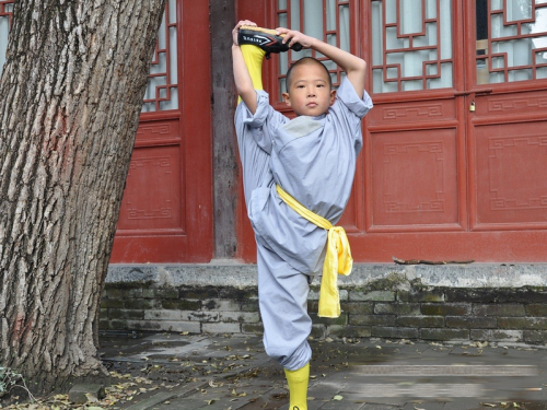 在少林寺文武学校长期学武的好处有哪些 -feiy