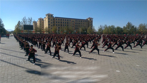 为什么在少林武校学武比自学武术好 -slsww04