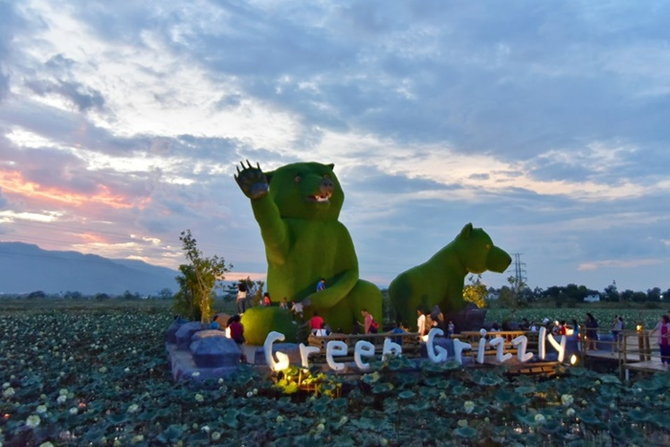 绿巨人！诶不对，是熊！清迈又现打卡新地点！