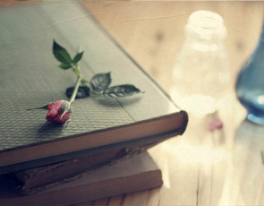 2020年7月英语四级高频词汇10天突破：day 8