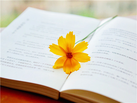 2020年7月英语六级翻译答案：三国演义（星火英语）