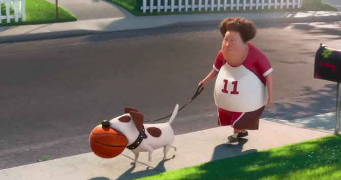 Quora精选：宠物为你做过最好的事