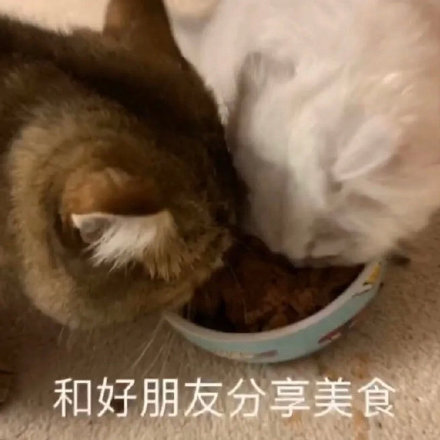 前置词za的用法大全 沪江俄语