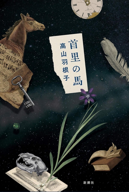 第163届芥川奖获奖小说推荐 高山羽根子 首里的马 沪江日语学习网