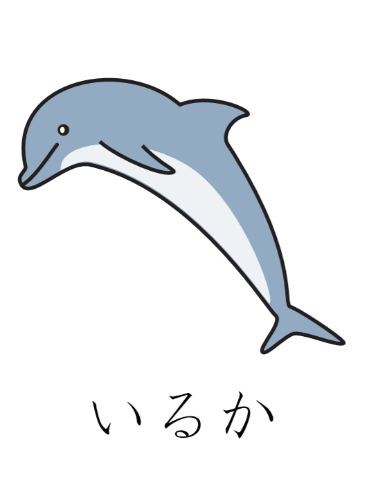 日语词汇 日语常用简单词汇 海豚用日语怎么说 沪江日语