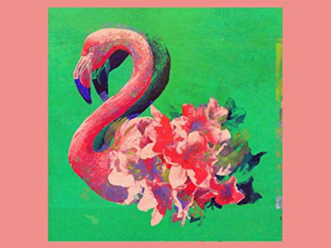 日语词汇 日文歌曲 米津玄师 Flamingo 歌词 沪江日语 日语词汇 日文歌曲 米津玄师 Flamingo 歌词 沪江日语
