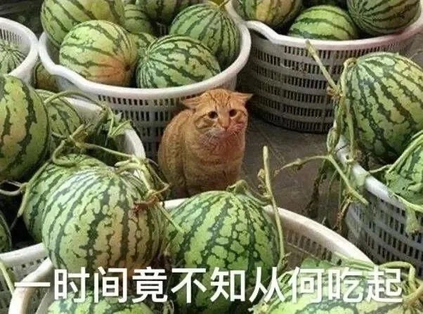 沪江