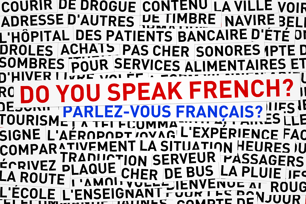 春节自救指南：如何向亲友硬核解释“我是学法语的”？
