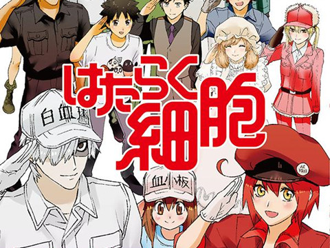 人气漫画 工作细胞 新型冠状病毒篇 感染预防篇将免费播出 新冠疫情 沪江日语