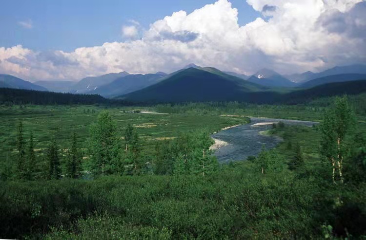 科米原始森林地图图片