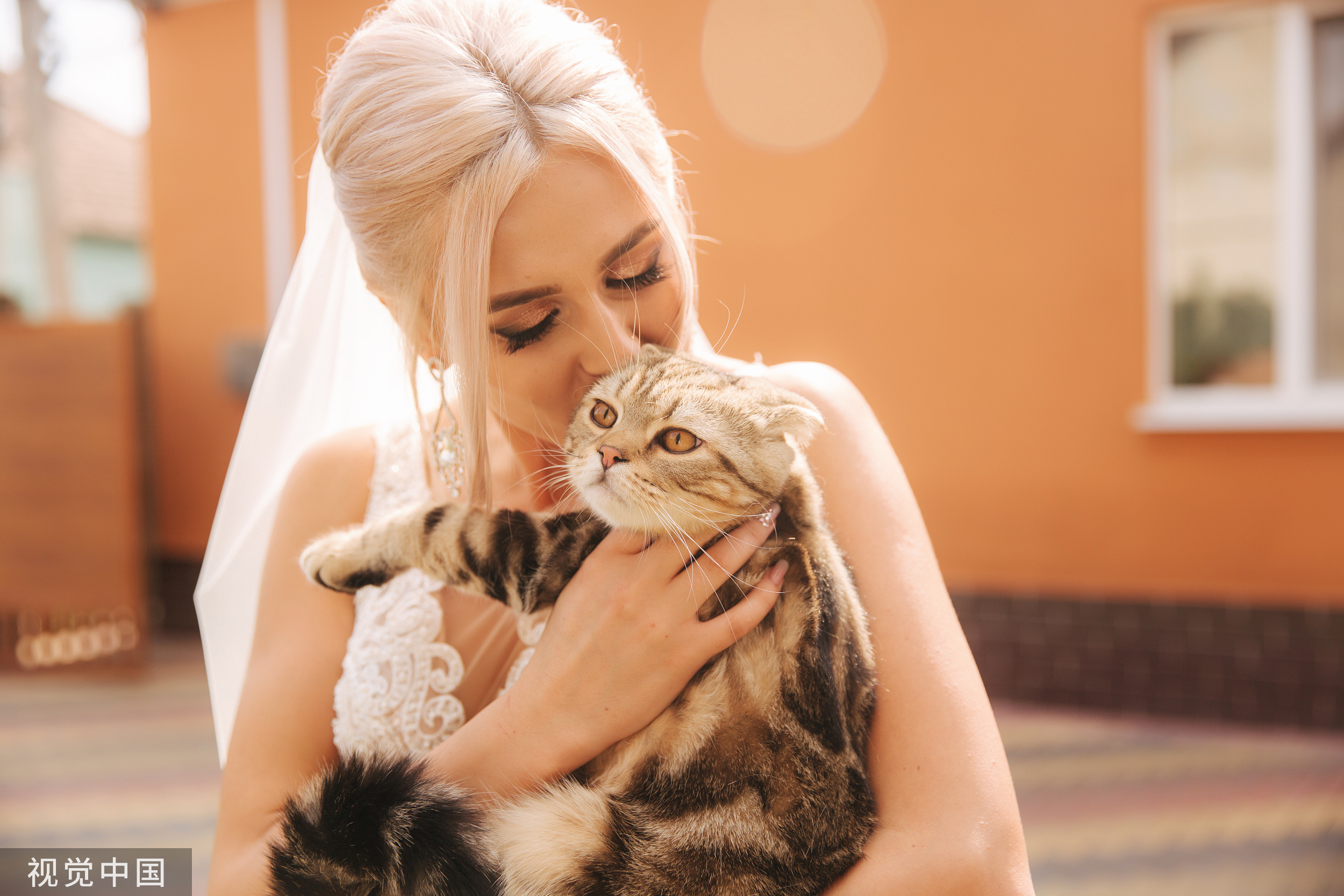 为了不被让宠物被房东赶走,一女子竟然和猫咪举行了婚礼?