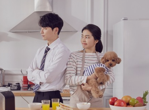 TOPIK小作文：令韩国家庭最苦恼的问题是什么？”