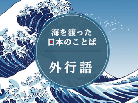有哪些英语词汇是来自直接音译的日语？