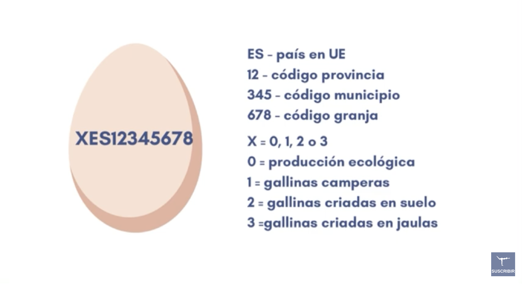 西班牙鸡蛋上的序号大有学问！一串数字竟能道出它的前世今生？