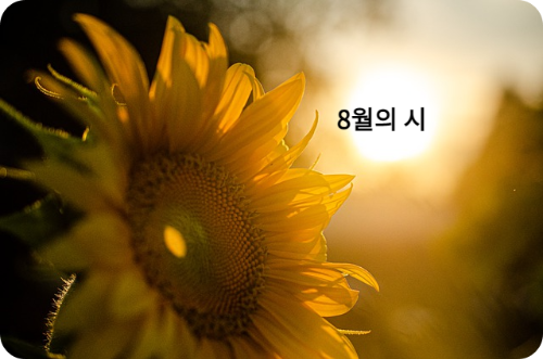 【有声】8月韩语诗歌鉴赏