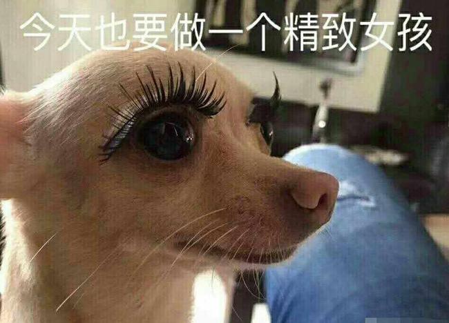沪江