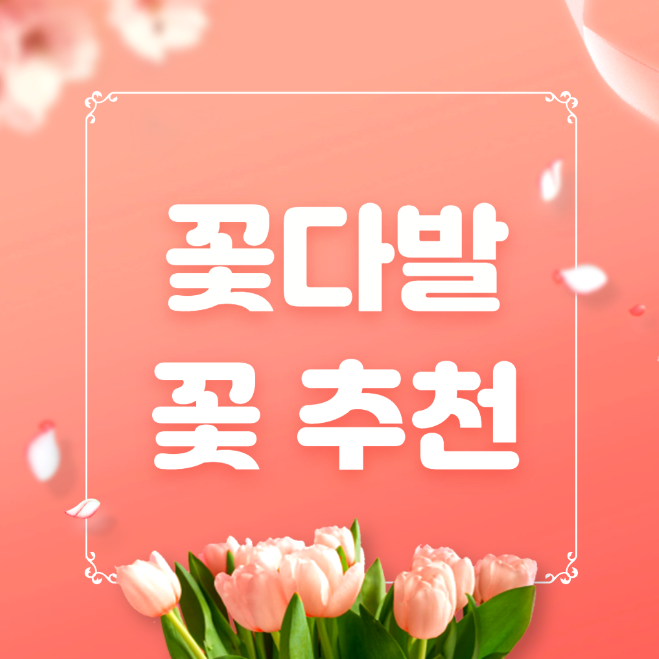 【有声】以花传语，适合送人的花语合集