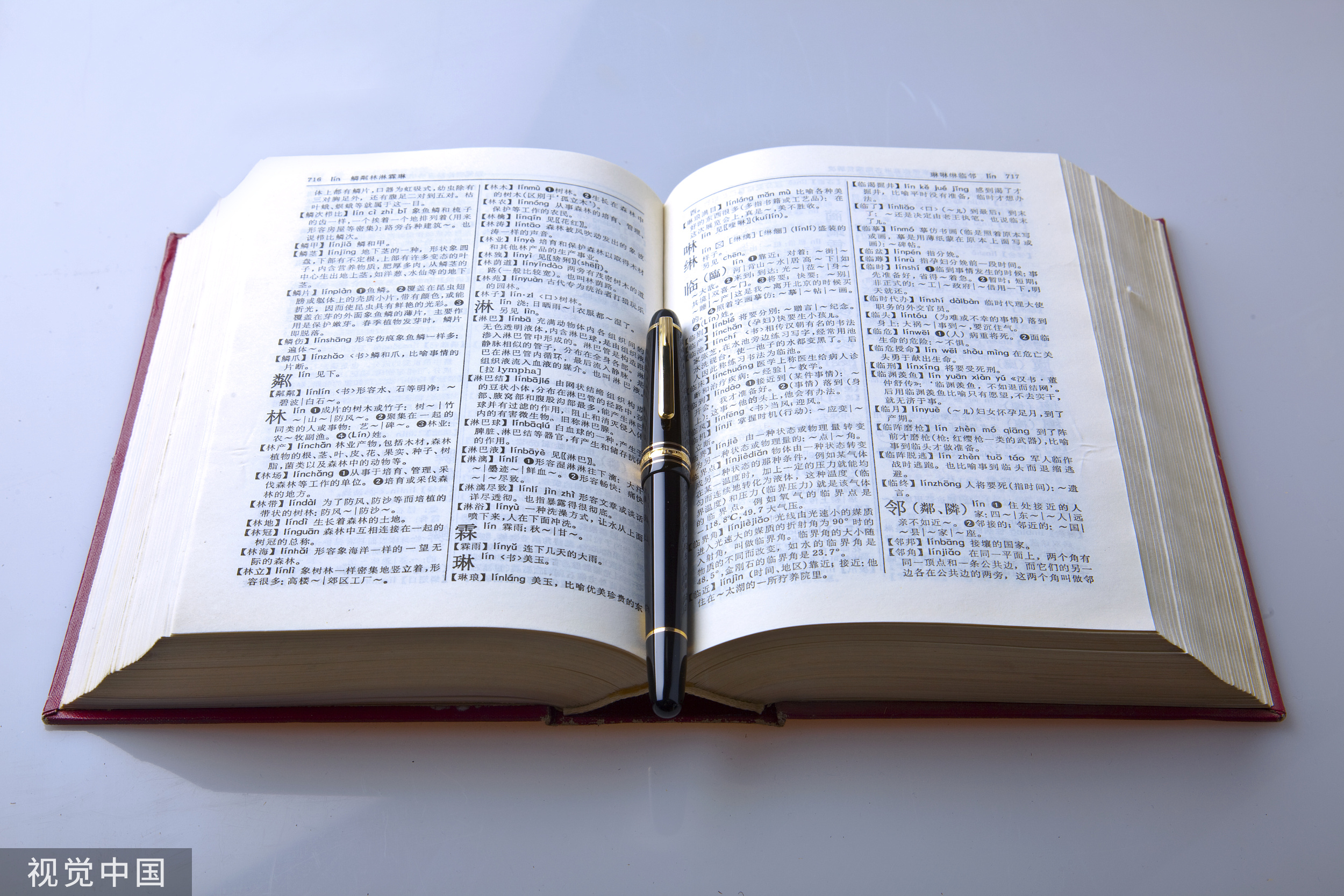 西班牙皇家语言学院选出的2023年年度词汇为什么是Ta？