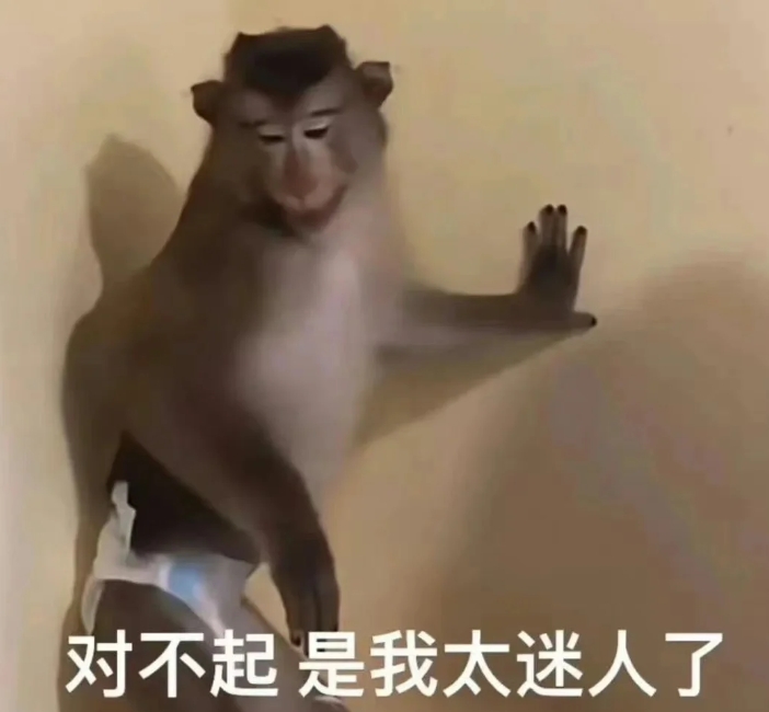 沪江