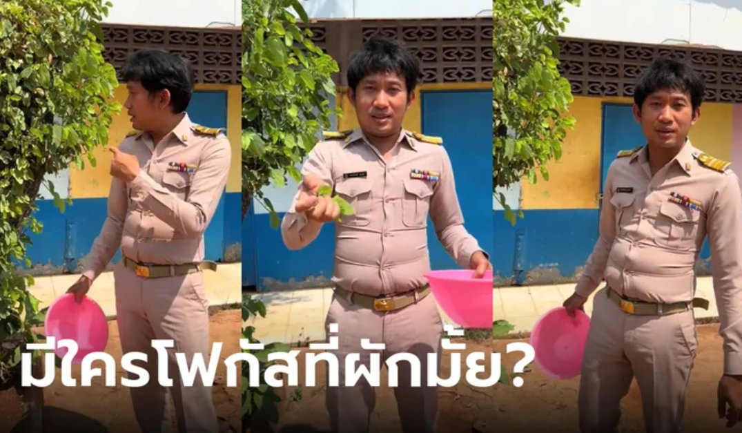 泰国老师观测植物，网友纷纷搞错重点，注意力都被其他东西引走了