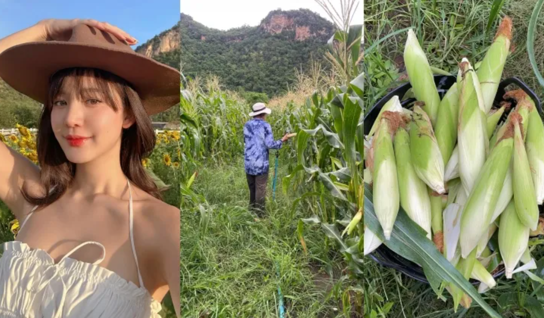 泰星接地气达到next level了！这位女星家里还有玉米地！