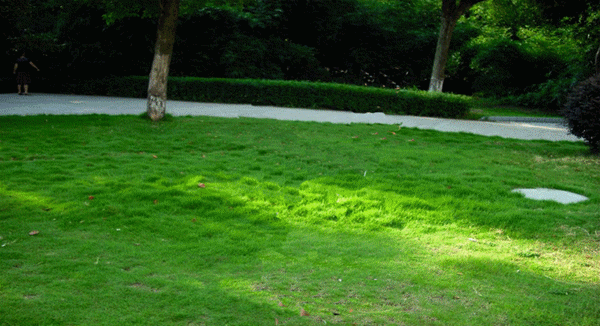 600_326gif 动态图 动图