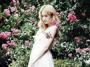 别傻了，“女人花”才不是赞美呢