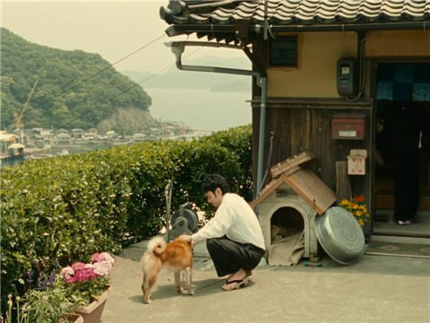 书写规范：「所」和「ところ」的区别