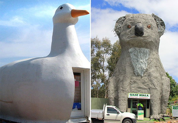 奇葩动物造型建筑:意外戳中萌点哈哈哈_双语_沪江英语学习网手机版