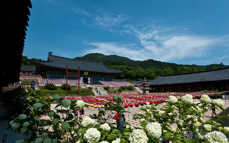 13位 陝川海印寺