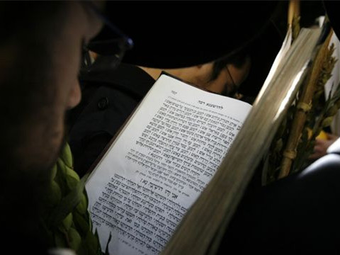 除了比喻拟人，常见的英语修辞你都会吗？