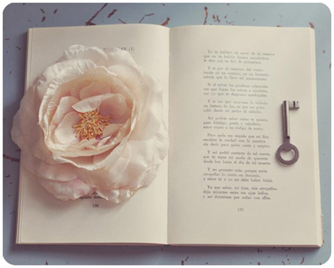 四级成绩查询：英语四级强化133分励志逆袭经验