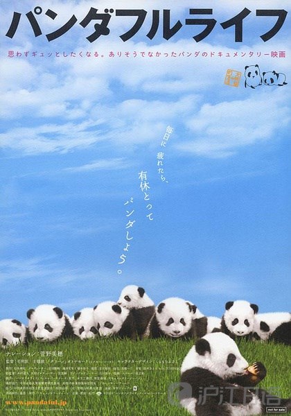 动物纪录片大盘点