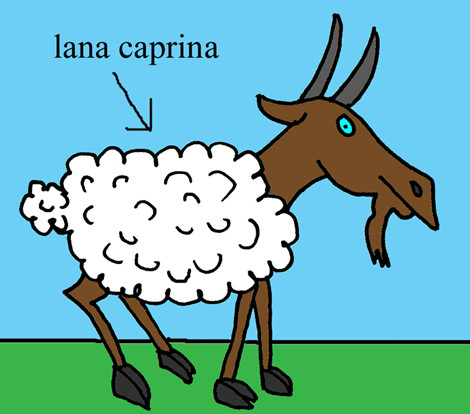 questioni di lana caprina 雞毛蒜皮的問題