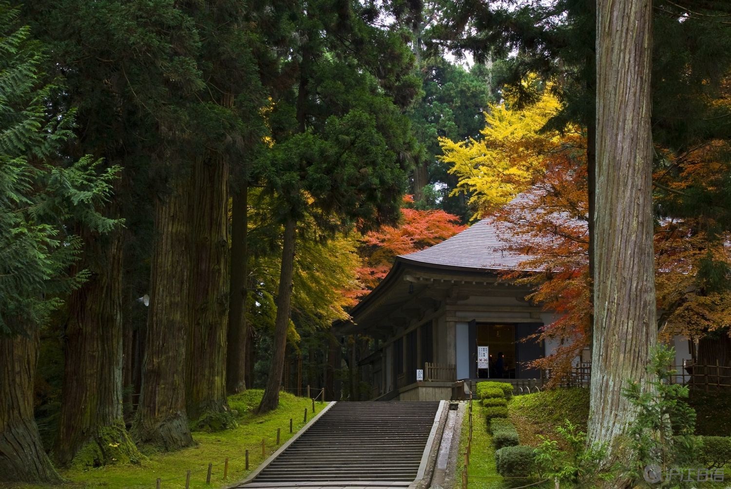 日本三星级旅游胜地推荐:中尊寺 金色堂(岩手)