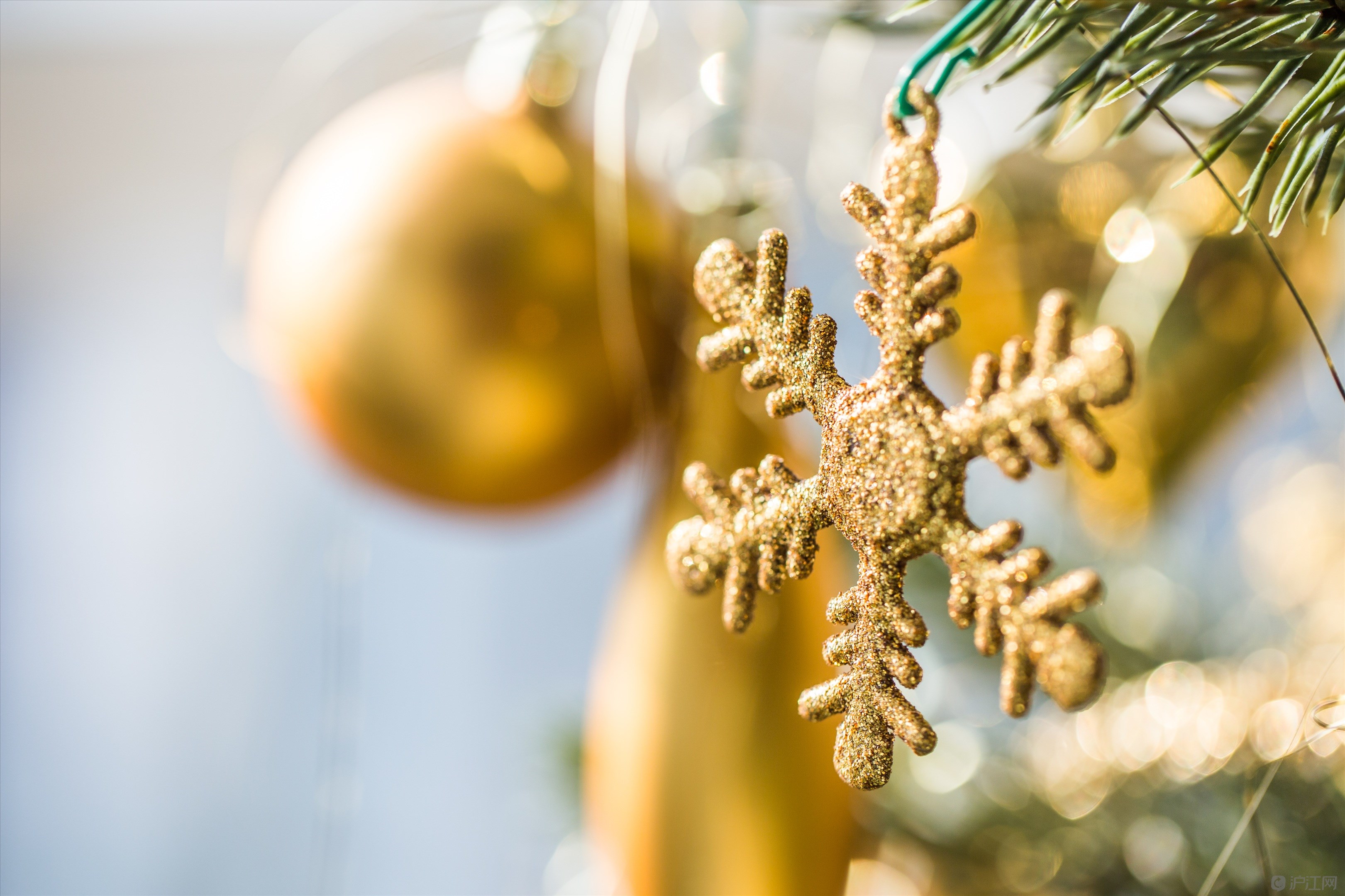 2017年公司圣诞节活动策划方案