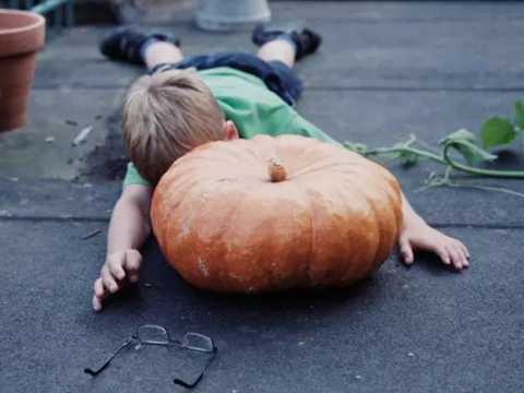 原版好书 | 慢思考：大脑超载时代的思考学