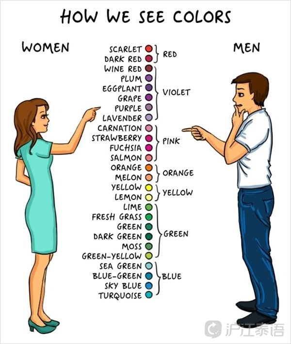 简单搞笑漫画图解男性与女性的思维及生活差异