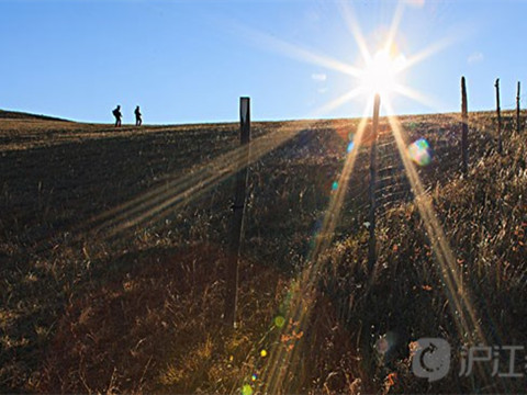 泰语诗歌：敞开心扉，方能遇到爱情
