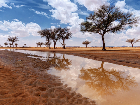 （高频词汇）represent及其衍生词用法综述
