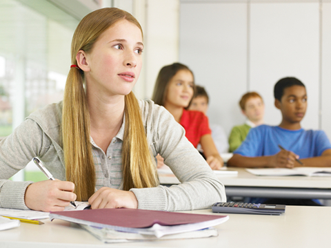 （高频词汇）section和sector 用法综述