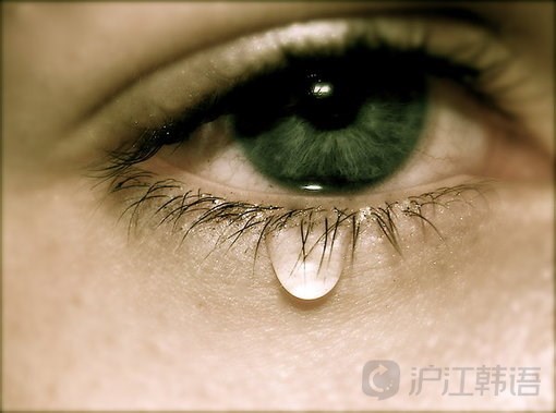 韩国文学广场:冻结的泪珠 — 杂诗