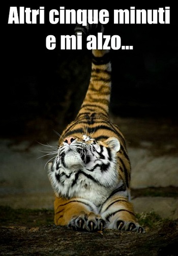 看完这篇文章我竟然迫不及待想上班了!