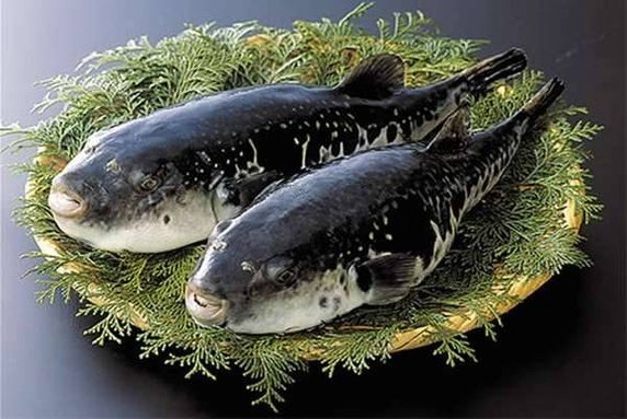 英语翻译 Quaro精选 世界上最难做的美食是什么 沪江英语